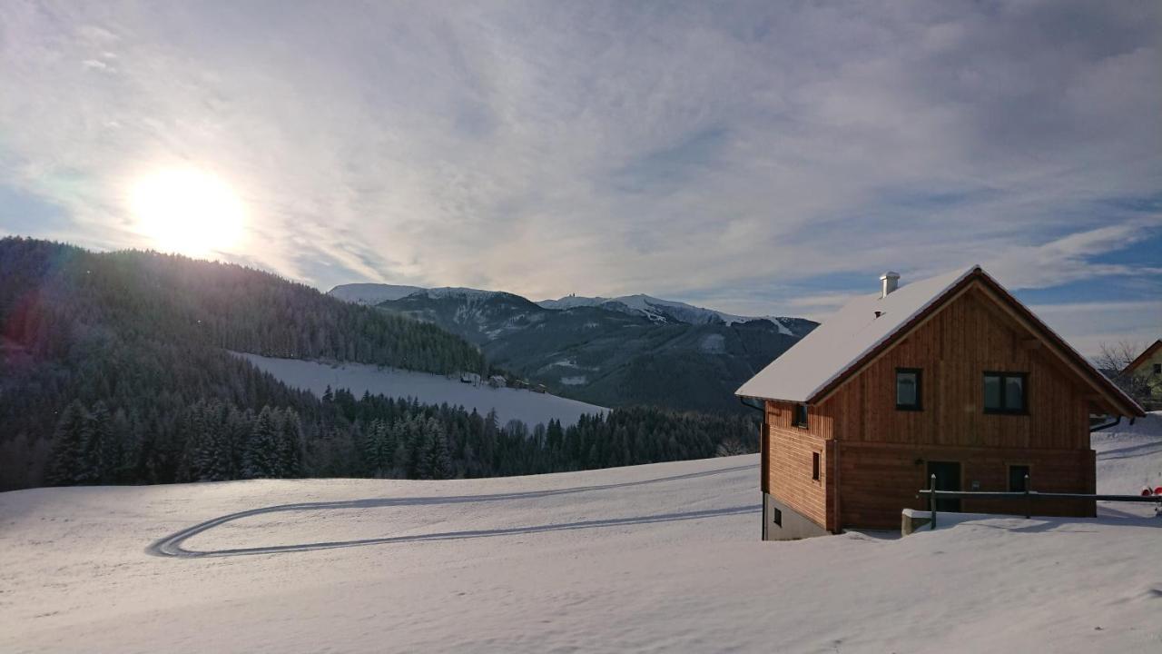 Вилла Ferienhaus Laerchenhuette Obergosel Экстерьер фото